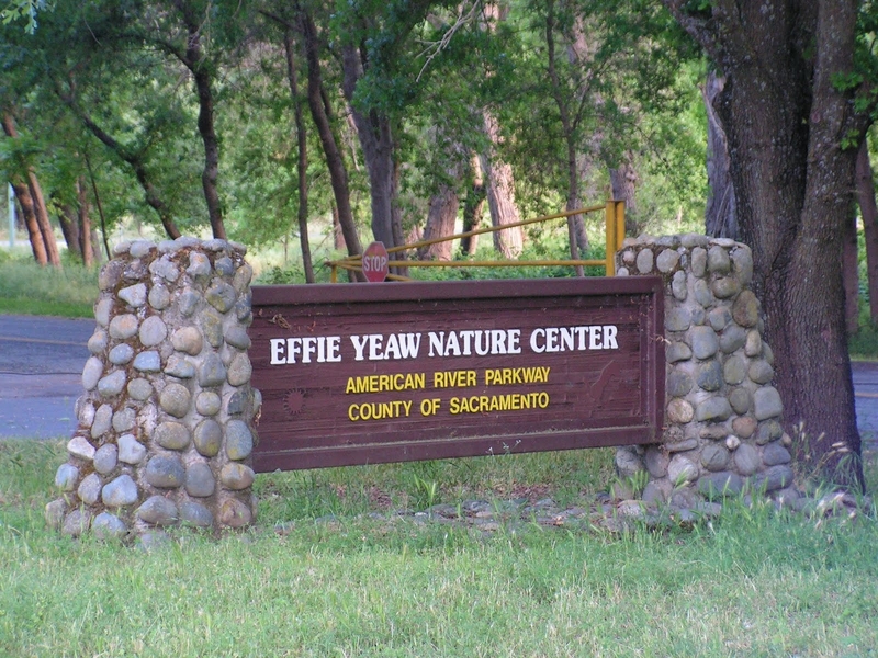 effie yeaw nature center